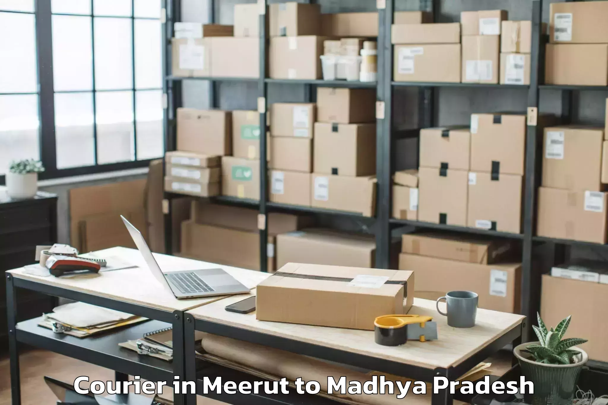 Trusted Meerut to Dhana Courier